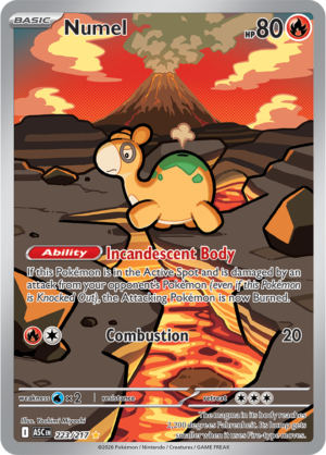 Pokémon TCG Numel – ASC 223 Illustration Rare Holofoil – EN