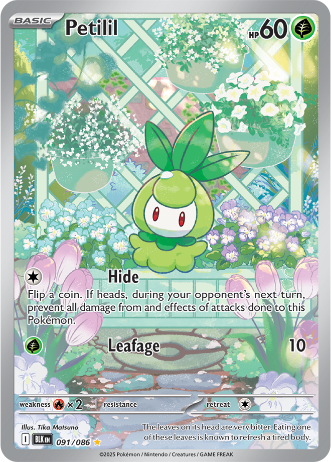Pokémon TCG Petilil – BLK 091/086 Illustration Rare Holo – EN