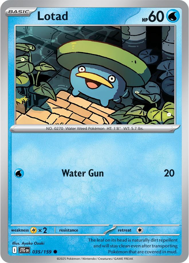 Pokémon TCG Lotad – JTG 035/159 Common Reverse Holofoil – EN