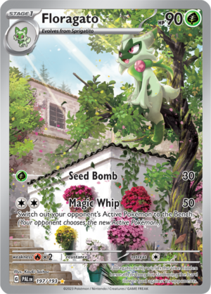 Pokémon TCG Floragato – PAL 197/193 Illustration Rare Holo – EN