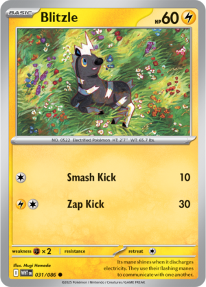 Pokémon TCG Blitzle – WHT 031/086 Common Regular – EN